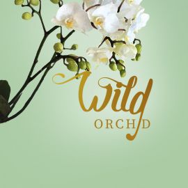wild orchid incienso